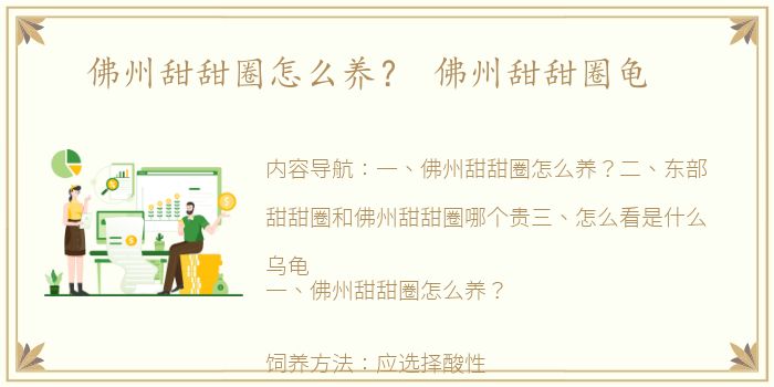 佛州甜甜圈怎么养？ 佛州甜甜圈龟
