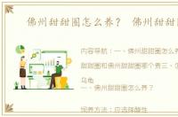 佛州甜甜圈怎么养？ 佛州甜甜圈龟