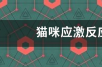 猫容易应激吗？ 猫应激反应怎么办