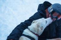 有没有什么关于雪橇犬的电影 狗拉雪橇的电影