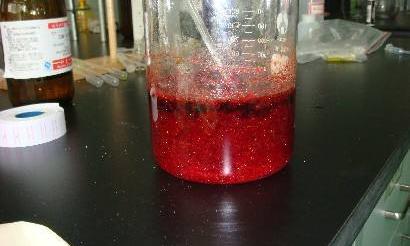 t015af5168ee3e950b9.jpg