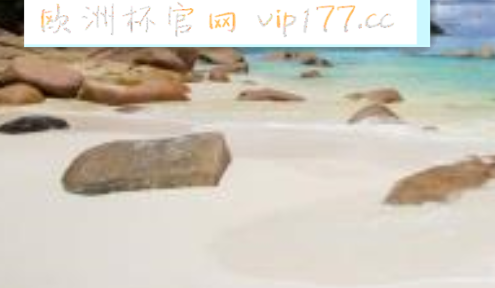 t016081f647c0a509be.png