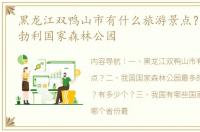 黑龙江双鸭山市有什么旅游景点？ 黑龙江勃利国家森林公园