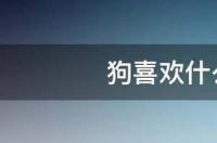 小狗的声音是什么？ 狗狗最喜欢听的声音