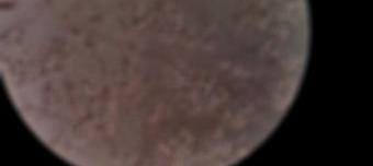 1cc1a7ea7591eb6e