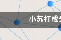 碱面是小苏打吗？ 小苏打是什么成分