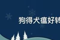 犬瘟热的初期症状？ 狗狗得犬瘟热症状有哪些