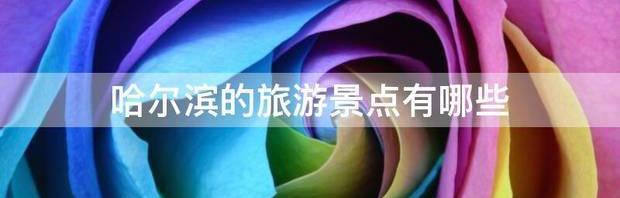 t01cf7e13c898eba58d.jpg