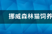 高地是什么猫？ 森林猫