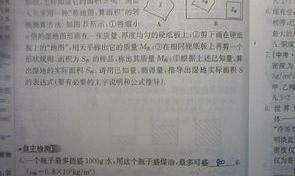 48f6ede2b45e9960