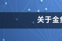 小玉鱼代表啥寓意？ 关于金鱼的资料