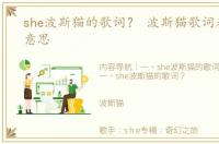 she波斯猫的歌词？ 波斯猫歌词表达什么意思
