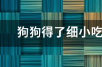 抗细小病毒打什么针最好？ 狗狗得了细小吃什么药好最快