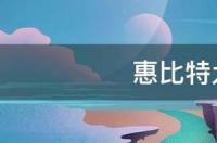 比特犬适合新手养吗，他会护主吗？ 比特犬会咬人吗