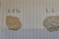 农药啶虫咪杀哪些害虫？ 啶虫脒的作用与功效