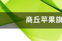 苹果手机最佳购买渠道？ 苹果旗舰店地址