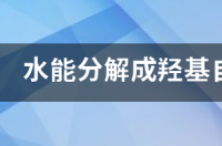 羟基自由基有什么作用 羟基自由基