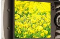 佳能IXUS系列共有哪些型号？ 佳能ixus870is