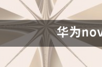 华为7和华为7se谁好？ 华为nova7se与nova7的区别