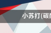 小苏打是家用常用的什么东西啊？ 小苏打的妙用大全美容