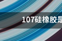 玻璃胶107是什么意思？ 107硅橡胶