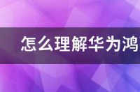 华为鸿蒙3.0怎么退回到emui系统？ 华为鸿蒙操作系统