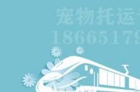 友鑫宠物托运靠谱么？ 友鑫宠物托运公司官网