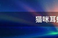 猫咪耳螨严重的怎么清洁？ 耳螨猫咪怎么治疗