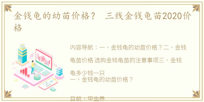 金钱龟的幼苗价格？ 三线金钱龟苗2020价格