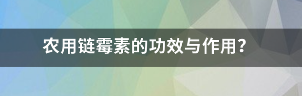 t01ddf84a12cf6c049b.png