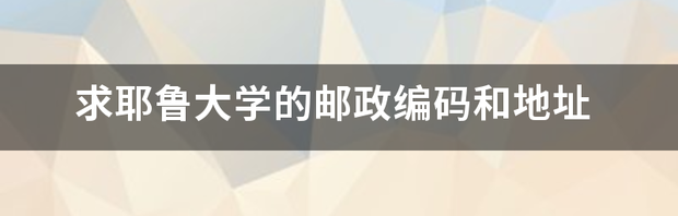 t01b8ae96eb36f86d96.png