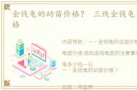 金钱龟的幼苗价格？ 三线金钱龟苗2020价格