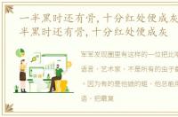 一半黑时还有骨,十分红处便成灰出处 一半黑时还有骨,十分红处便成灰