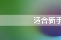 适合新手用的单反 适合新手的单反相机