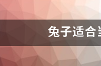 适合养在农村的宠物兔？ 适合当宠物的兔子