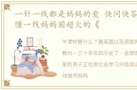 一针一线都是妈妈的爱 快问快答,带你搞懂一线妈妈圈超火的《