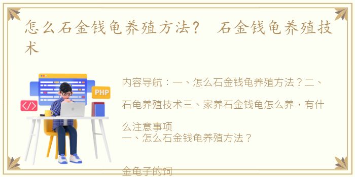 怎么石金钱龟养殖方法？ 石金钱龟养殖技术