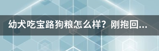 t015ae90198c985532c.png