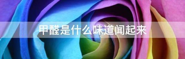 t01da68ab268ea9a54a.jpg