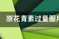 原花青素的化妆应用？ 原花青素的功效