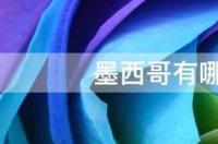 c罗来自墨西哥还是葡萄牙？ 墨西哥足球巨星
