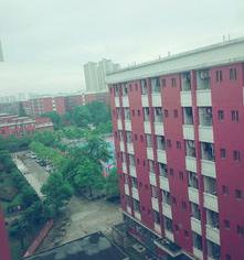 1565ec8718157fe8
