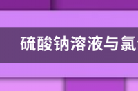 硫酸钠和氯化钡的反应方程式是什么？ 硫酸钠和氯化钡