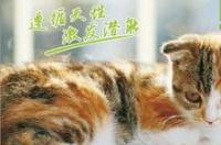 星巴克宠物友好店全国门店一览？ 环球宠物企业网