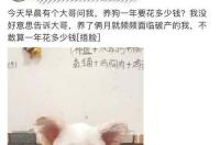 苏州有宠物狗养殖基地吗？ 中国养狗的最大养殖基地