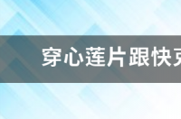 穿心莲片的成分？ 穿心莲片