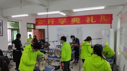 t0148abf0068d6af488.jpg