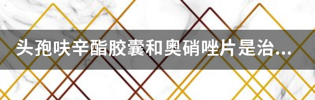 t015274c831766d3957.png