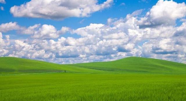 96c861e61e6f4d64b3b3c3e39fde5232