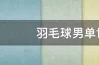 国羽男单世界排名最新版？ 男单羽毛球世界排名